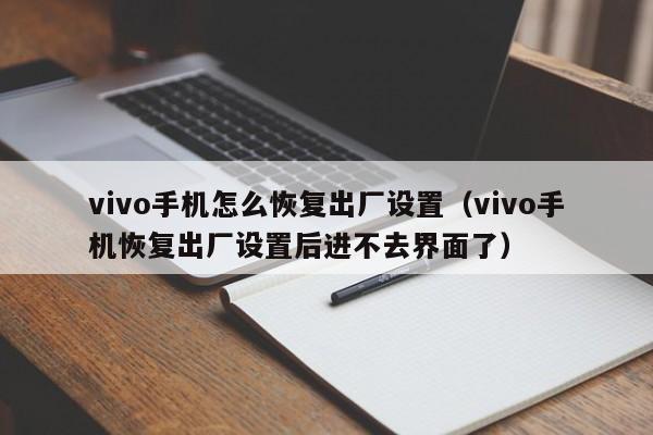 vivo手机怎么恢复出厂设置（vivo手机恢复出厂设置后进不去界面了）