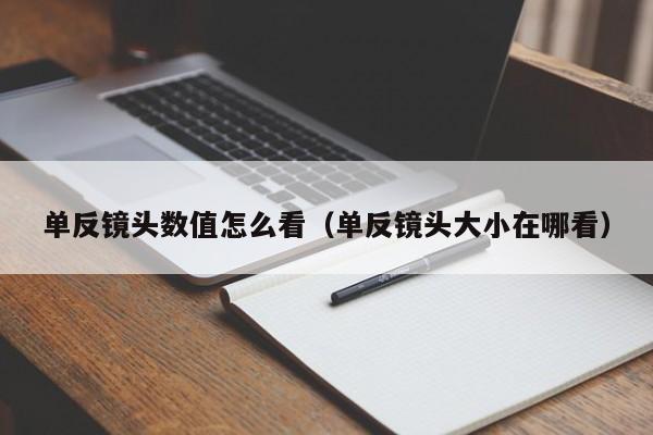 单反镜头数值怎么看（单反镜头大小在哪看）