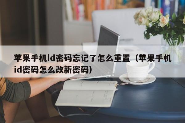 苹果手机id密码忘记了怎么重置（苹果手机id密码怎么改新密码）