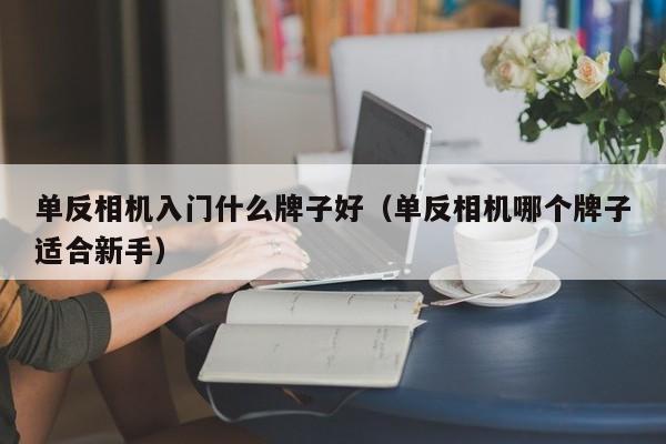 单反相机入门什么牌子好（单反相机哪个牌子适合新手）